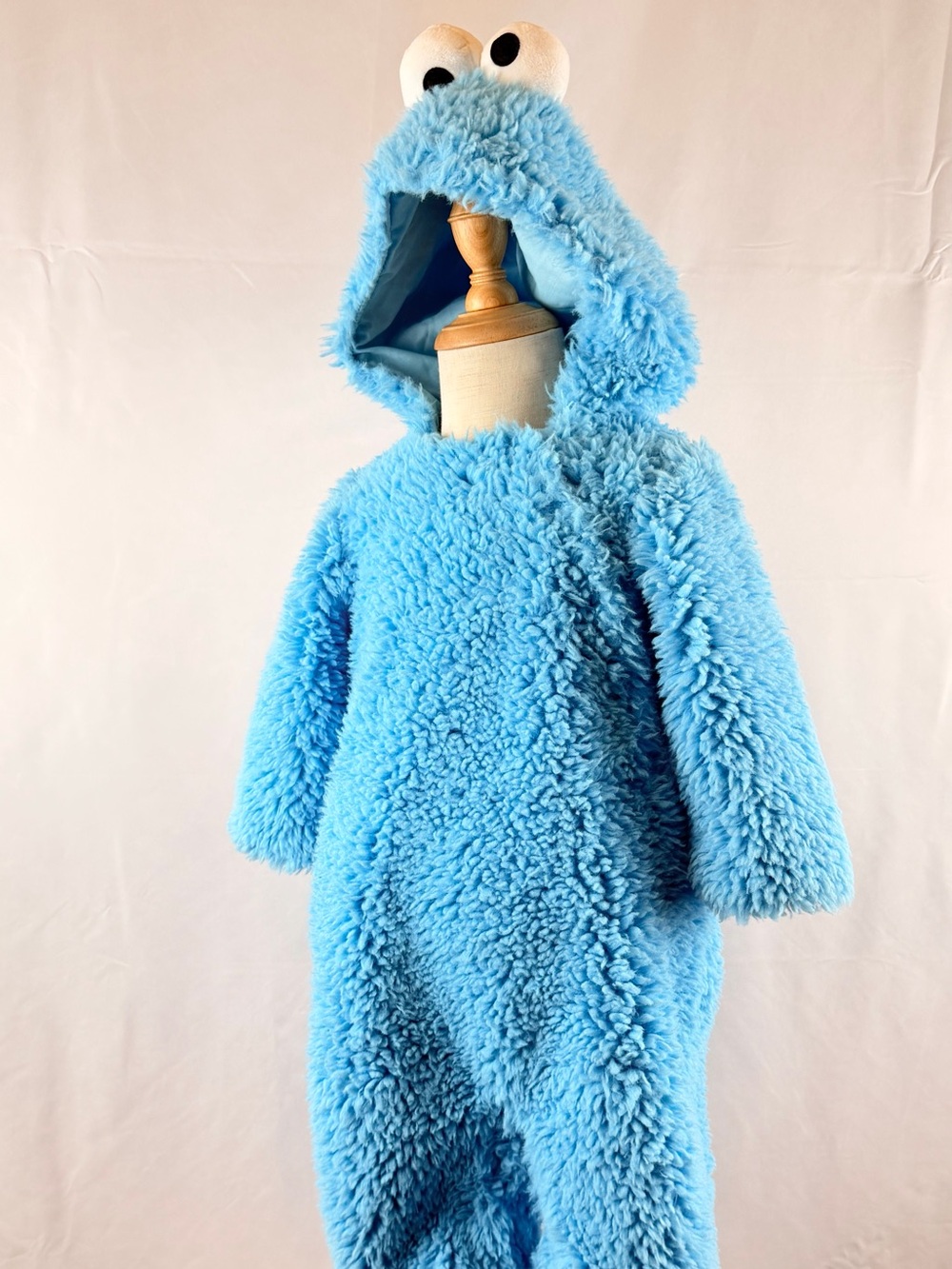 Pottery Barn kids Cookie Monster costume Halloween dress up 12 to 24 months